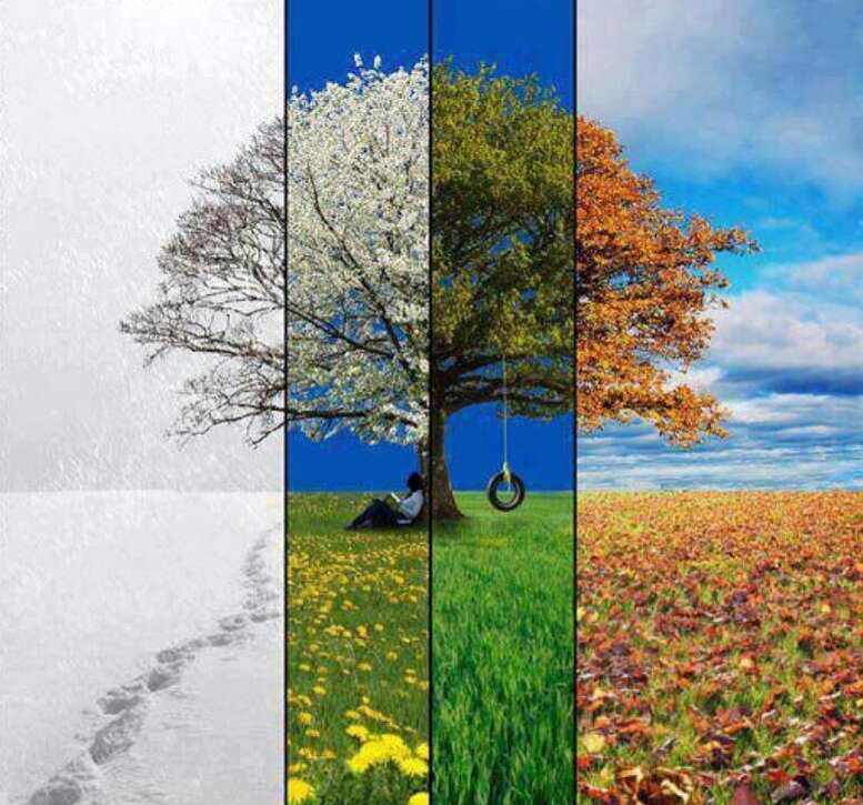 Летний день