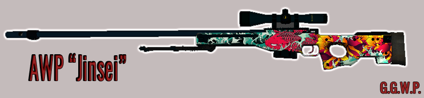 Серверная модель AWP "Jinsei"