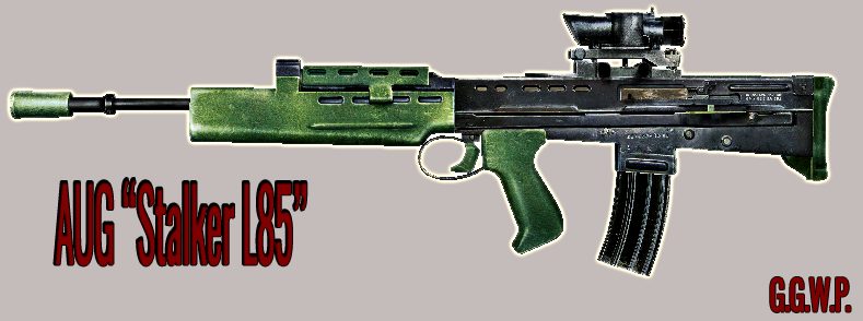 Серверная модель AUG "STALKER L85"