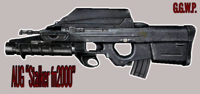 Серверная модель AUG "STALKER FN2000"