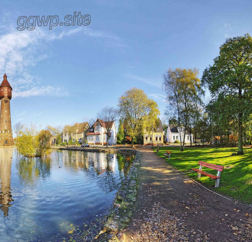 Летний день