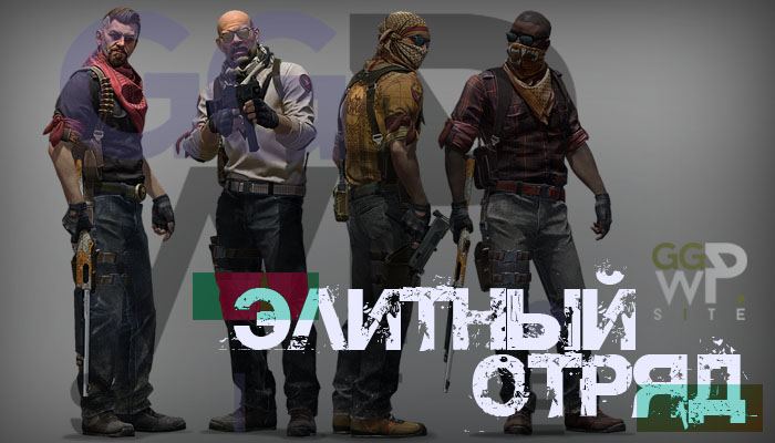 Пак серверных скинов «Элитный отряд»